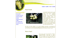 Desktop Screenshot of dutch.noni.com.pa