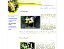 Tablet Screenshot of dutch.noni.com.pa